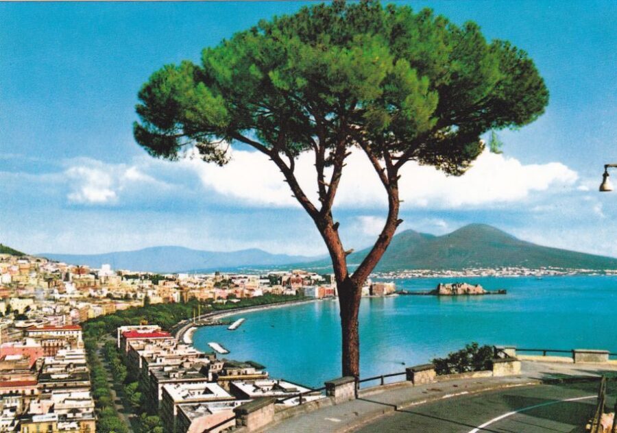 From Rome: Full Day Pompeii and Naples Tour - A Full Day That Pairs Pompeii’s Shock With Naples’ Daily Energy