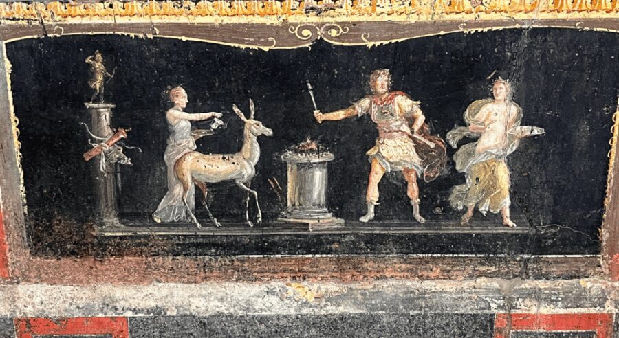 From Rome: Pompeii and Herculaneum Tour w/ High-speed Train - Who should book this tour from Rome