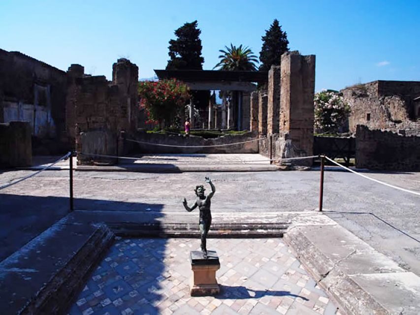 From Rome: Pompeii Day Trip by Fast Train and Car - House of the Faun: status, mosaics, and a house that feels big
