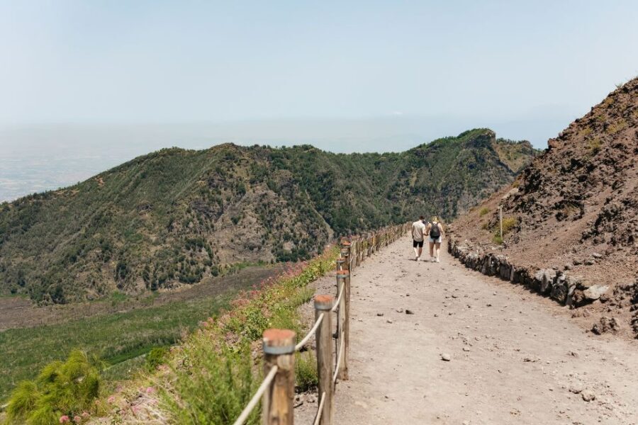 From Rome: Pompeii Day Trip with Optional Vesuvius and Lunch - Private coach from Rome: the comfort factor you’ll notice
