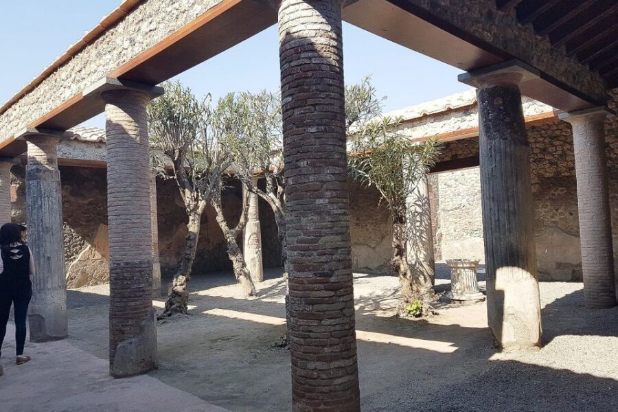 From Rome: Pompeii & Naples Small-Group Day Tour with Lunch - What You’re Really Booking: Ruins, City Sights, and Included Food
