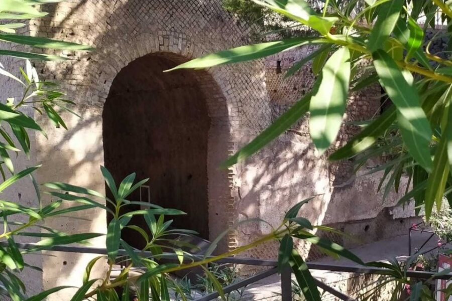 From Rome: Pompeii & Naples Small-Group Day Tour with Lunch - Price and Value: Is $303.60 a Fair Deal?