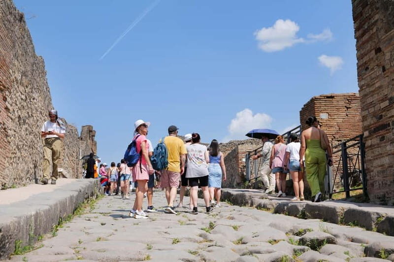 From Rome: Pompeii Ruins Tour with Expert Guide & Fast Train - Roma Termini to Naples to Pompeii: the fast-train rhythm