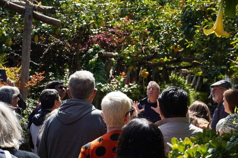 From Rome: Sorrento & Pompeii Day Trip with Guide or Ticket - Sorrento: limoncello tasting and a real chance to breathe