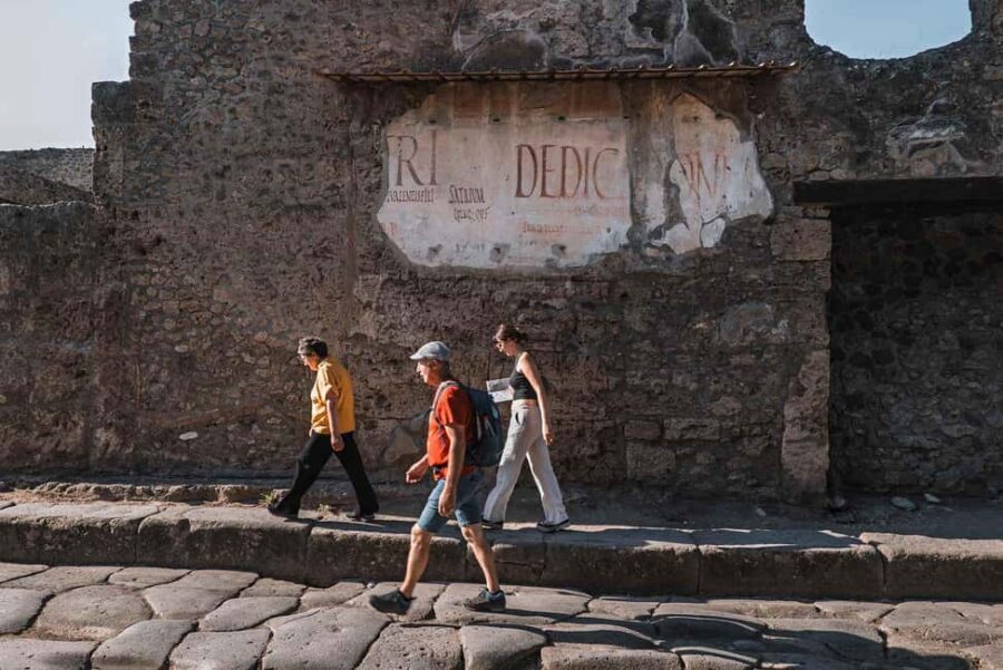 From Salerno: Pompeii Guided Walking Tour with Ticket - Salerno to Pompeii by train: a scenic, low-stress morning
