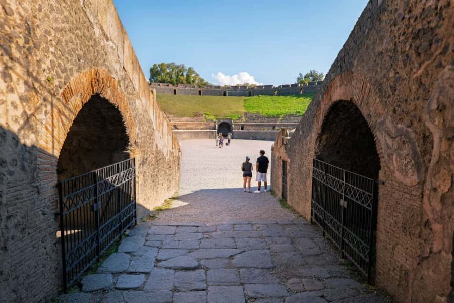 From Salerno: Pompeii Guided Walking Tour with Ticket - The forum and the victim casts: seeing the eruption’s human impact