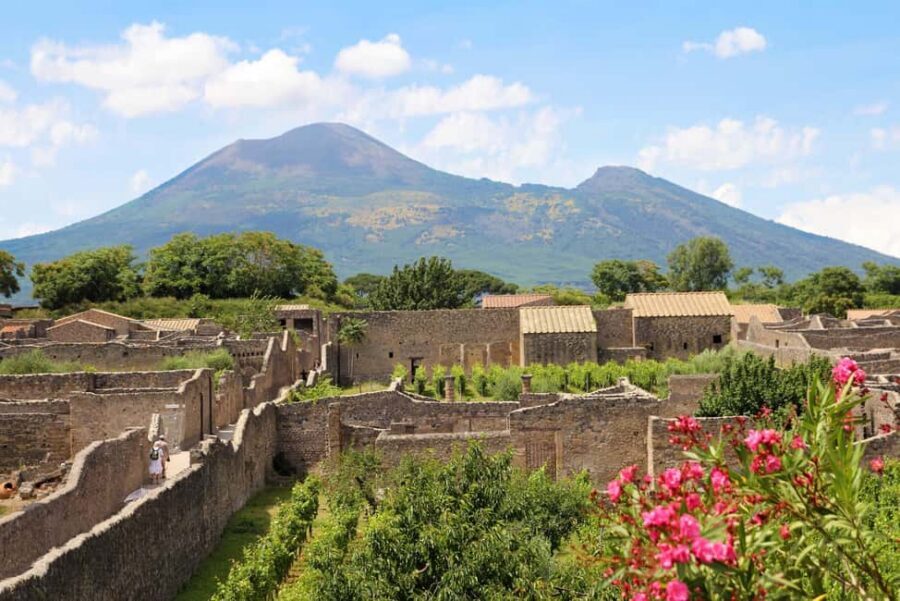 From Salerno_Pompeii Express_bus+ skip the line ticket - Pompeii in a Day, Without the Public Transport Workout
