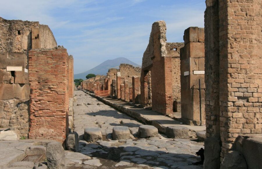 From Sorrento: Herculaneum and Pompeii Group Excursion - Key points to know before you go