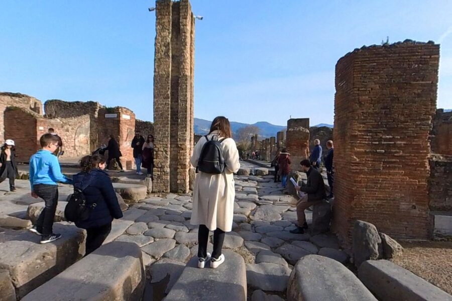 From Sorrento: Pompeii and Vesuvius Guided Tour with Lunch - Lunch on Vesuvius: pizza with a view beats the scramble