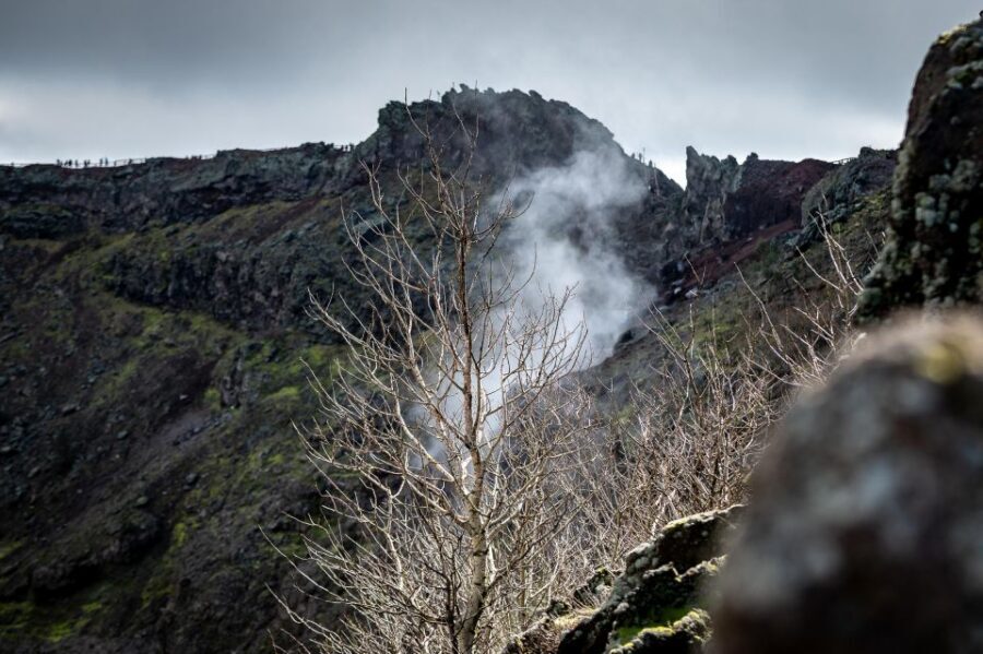 From Sorrento: Pompeii and Vesuvius Guided Tour with Lunch - Guide styles you might get: what changes day-to-day