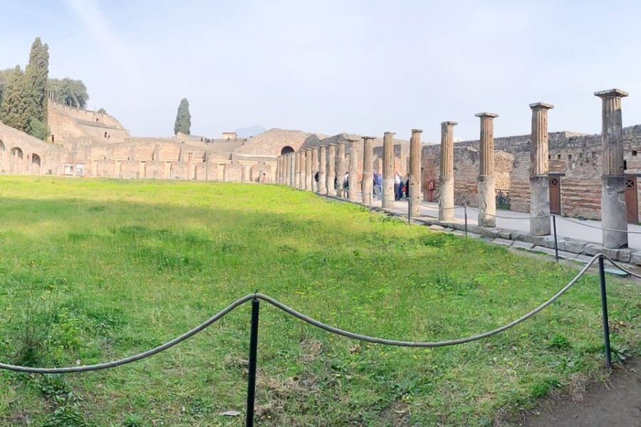 From Sorrento: Pompeii and Vesuvius Tour - Lunch isn’t included: how to avoid the most common day-ruiner