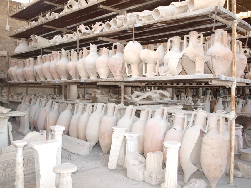 From Sorrento: Skip-the-Line Pompeii Tour and Vineyard Lunch - The volcanic vineyard stop: wine-making education with views