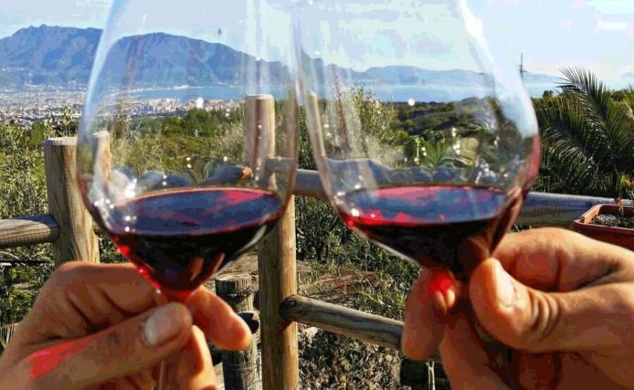 From Sorrento: Skip-the-Line Pompeii Tour and Vineyard Lunch - 3-course lunch and wine tasting: what’s included and what to expect