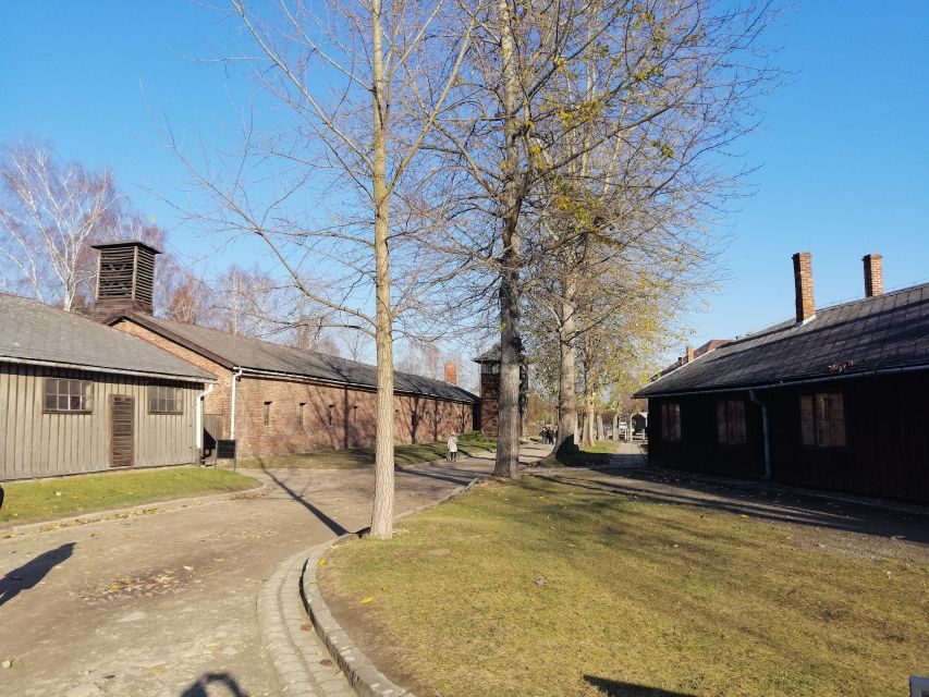 From Warsaw: Auschwitz-Birkenau Tour by Car - Lunch in a Local Restaurant: Energy for the Second Half