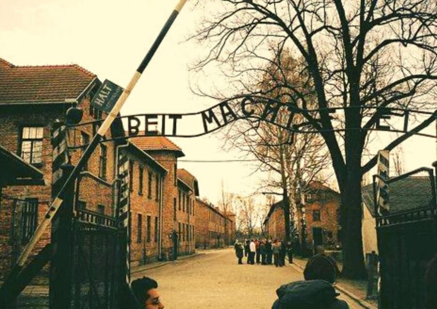 From Warsaw: Auschwitz Day Tour by Private Car with Lunch - Birkenau’s scale and reminders: ramps, watchtowers, and the museum’s context