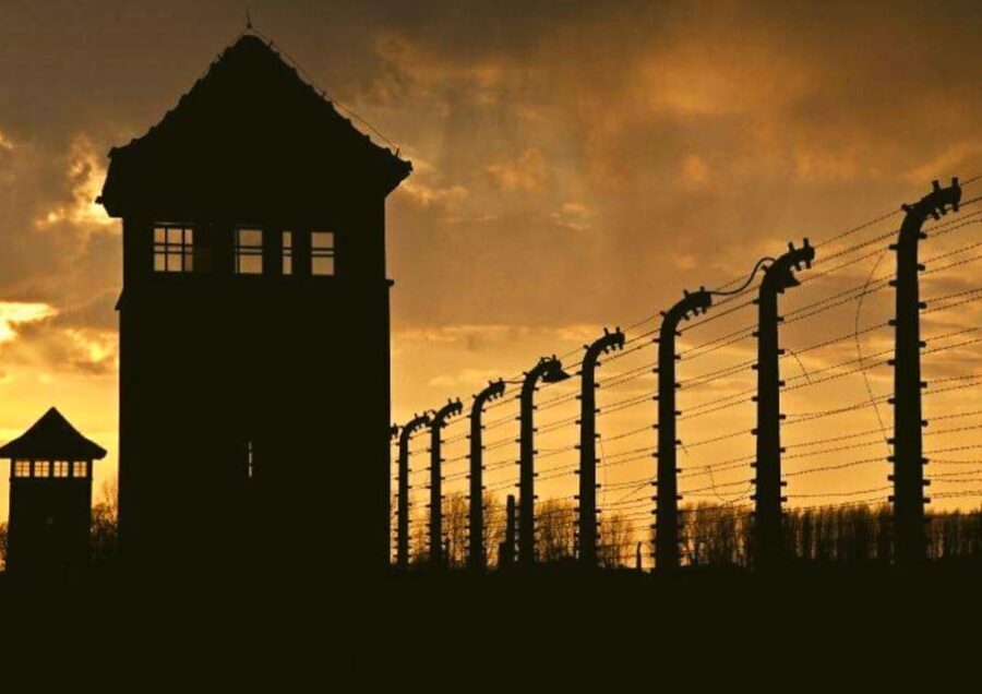 From Warsaw: Auschwitz Day Tour by Private Car with Lunch - Skip-the-line plus private logistics: practical value at $422