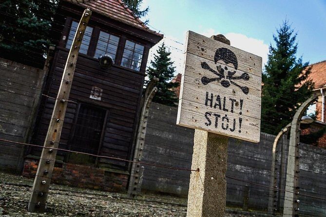 Full day tour to Auschwitz-Birkenau and Salt Mine with a local guide from Krakow - Morning Pickup and Minivan Logistics: Where Your Energy Goes