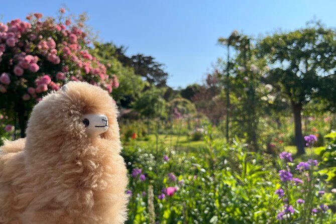 Giverny & Versailles Private Guided Tour with Ticket Entry - Versailles Palace of Louis XIV: Hall of Mirrors time, handled