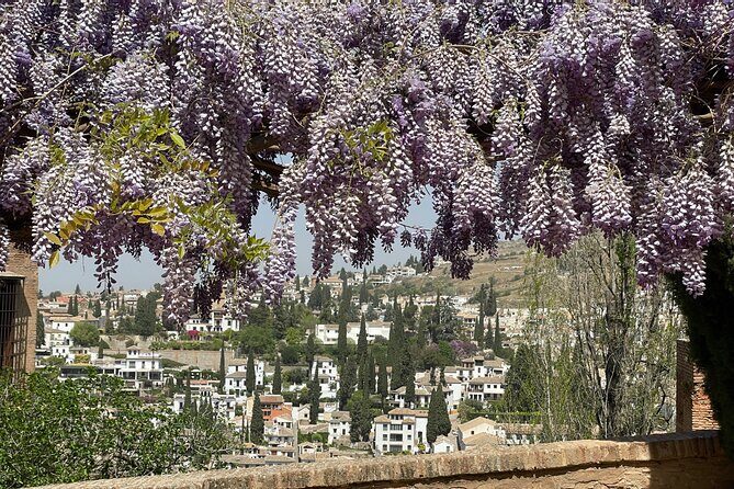 Granada : Private Alhambra Tour + Nazaries Palaces (VIP) - The Practical Stuff: Passport Checks, Mobile Tickets, and Steep Steps