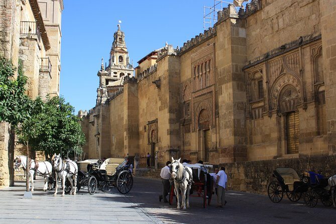 Guided tour: discover the 2 great monuments in Córdoba: Mezquita and Alcázar. - Price and logistics: is $47.43 a fair deal?