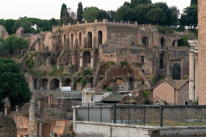 Guided tour of Colosseum, Roman Forum and Palatine hill - Palatine Hill Stop: Included Admission and a Fast Orientation