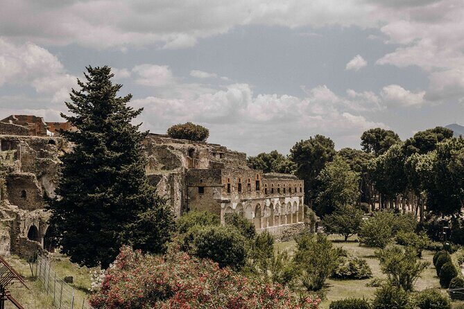 Guided Tour of Pompei, Lunch and Wine from Sorrento - Mt. Vesuvius: lunch with five wine tastings and bay views