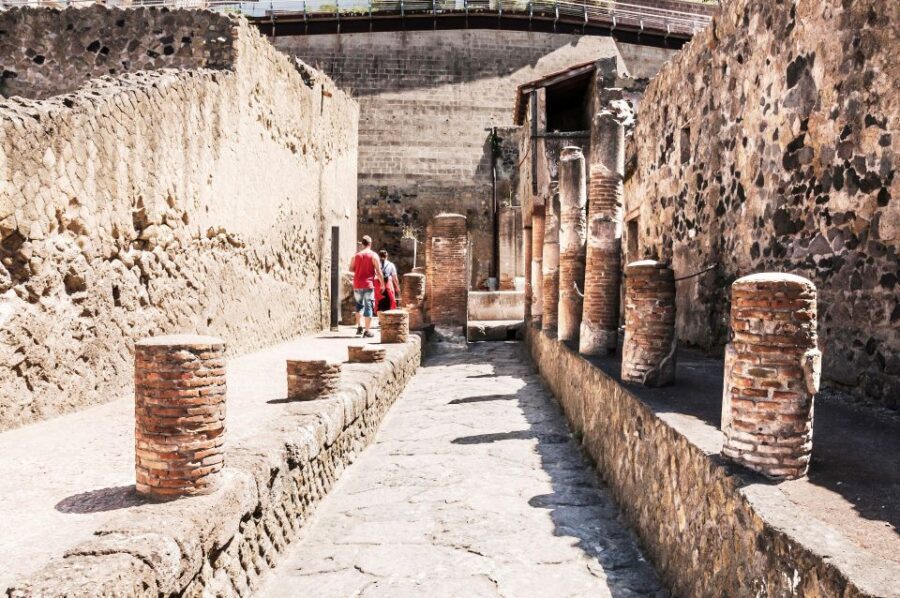 Herculaneum Guided Walking Tour with Entry Ticket - Booking checklist: small steps that make the day easier
