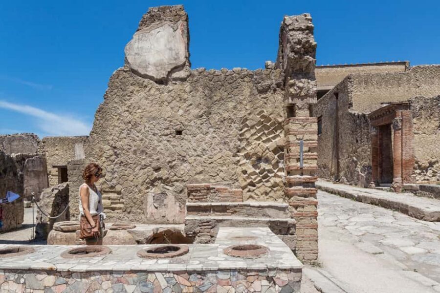 Herculaneum: Private Tour with Driver from Naples - Key highlights that make this tour worth considering