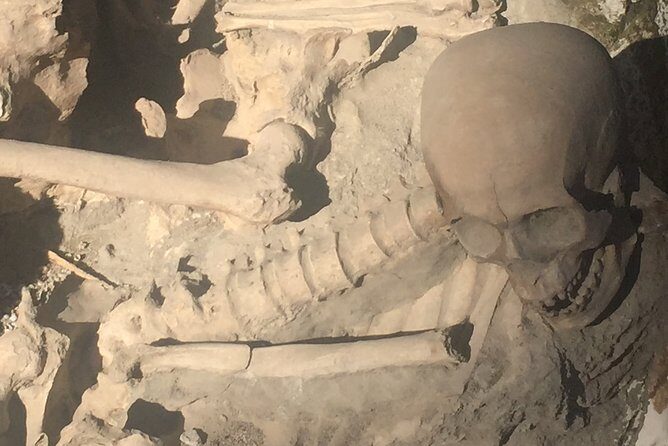 Herculaneum Private Walking Guided Tour 2 hours - Parco Acheologico di Ercolano: your main walking experience