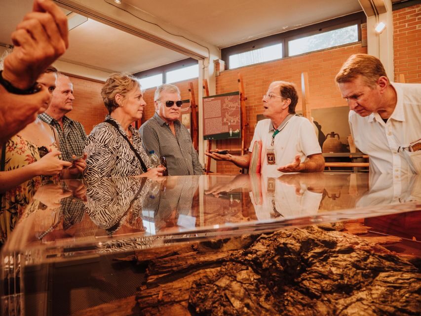 Herculaneum: Private Walking Tour with Archeologist Guide - The Start Point: Parco Archeologico di Ercolano Gets You Oriented Fast
