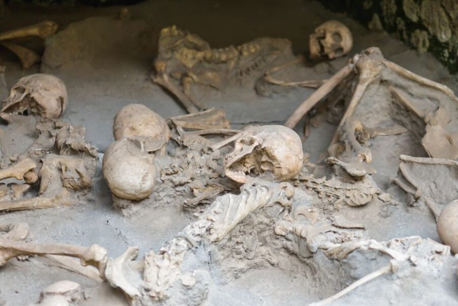 Herculaneum: Private Walking Tour with Archeologist Guide - Houses With Character: Wooden Partitions, Terrace Views, and Home Life