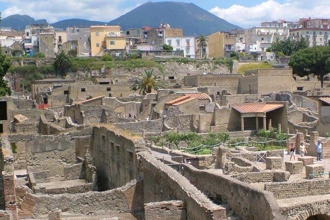 Herculaneum Ruins Private Half-Day Tour - Price and Value: When $212.76 Makes Sense