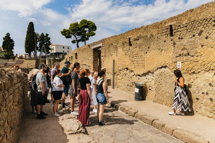 Herculaneum: Skip-the-Line Guided Tour with Archaeologist - Price and value: what $53 buys you
