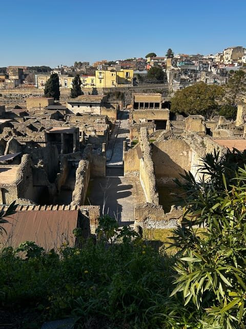 Herculaneum - Small Group Tour (admission included) - Language Options and Guide Style