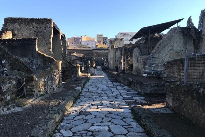 Herculaneum - Small Group Tour - Private houses worth the focus (and what to look for)