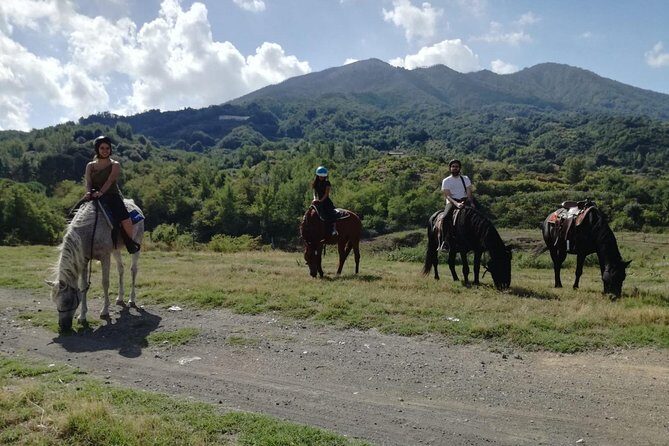 Horse Riding on Mount Vesuvius - Meet at Pollena Trocchia, then into Vesuvius National Park