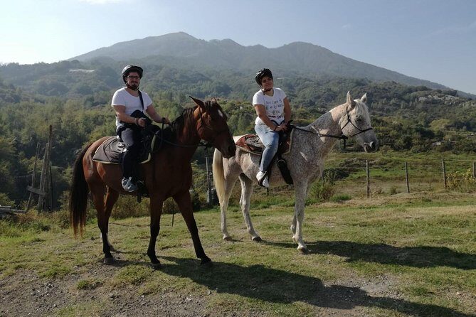 Horse Riding on Mount Vesuvius - Helping with grooming at the ranch