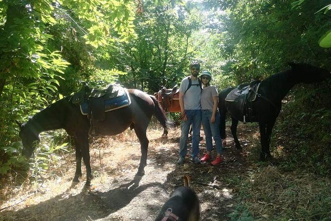 Horse Riding on Mount Vesuvius - Your one-hour ride through narrow paths and woods