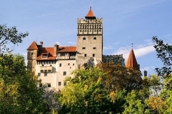 In Search of Dracula and the Teutons in Transylvania Full-Day Private Tour - Princely Court in Targoviste: Wallachia’s First Capital Moment