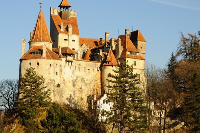 In Search of Dracula and the Teutons in Transylvania Full-Day Private Tour - Who This Tour Fits Best (and Who Might Want to Skip It)