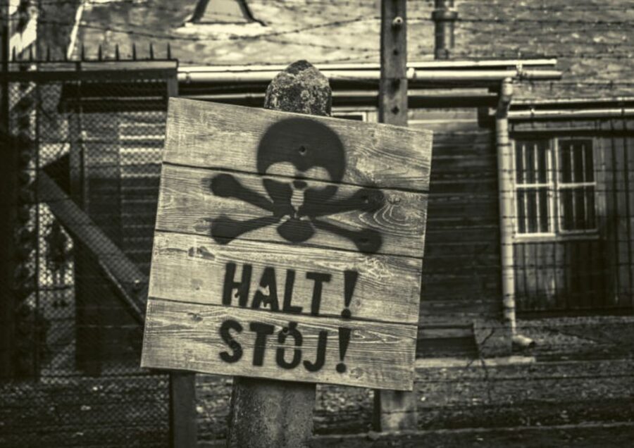 Krakow and Auschwitz Small-Group Tour from Warsaw with Lunch - Who should book this tour (and who might want a different plan)