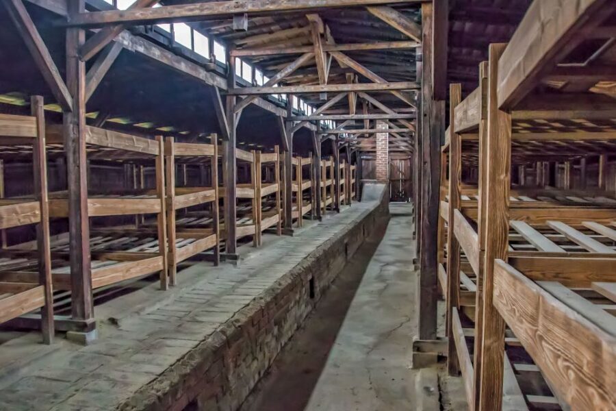 Krakow: Auschwitz and Wieliczka Salt Mine Combo Tour - Price and value: is $181 per person worth it?