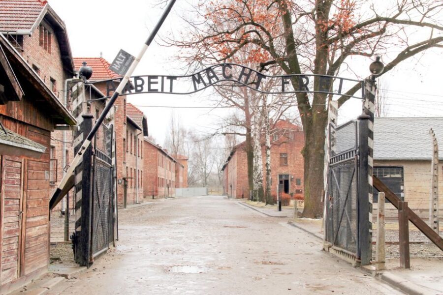 Krakow: Auschwitz-Birkenau and Salt Mine Guided Tour - Before you go: IDs, bag rules, and what to pack