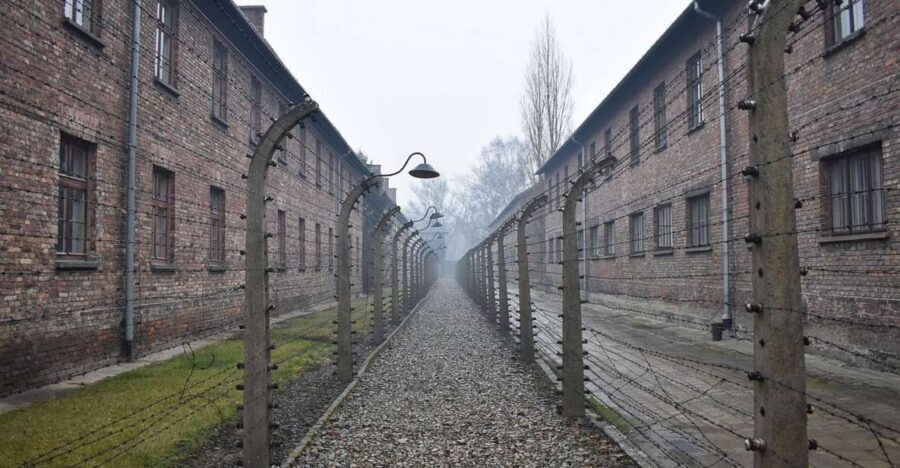 Krakow: Auschwitz-Birkenau Day Trip with Tour Leader - Should you book this Auschwitz-Birkenau day trip from Krakow?