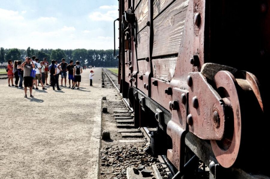 Krakow: Auschwitz-Birkenau Guided Tour Pickup/Lunch Options - Comfort, crowd levels, and how the day can feel