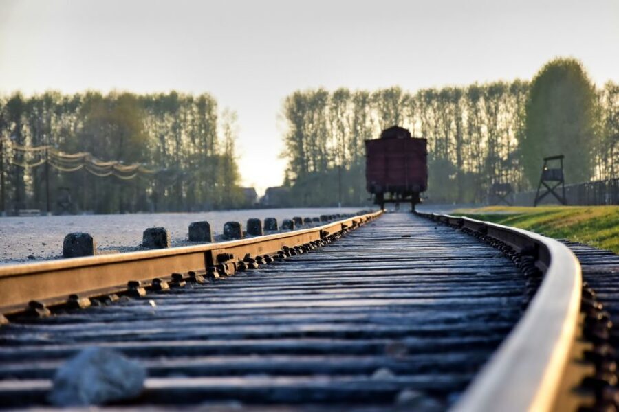 Kraków: Auschwitz-Birkenau & Salt Mine Full-Day Guided Tour - Key things you’ll notice right away
