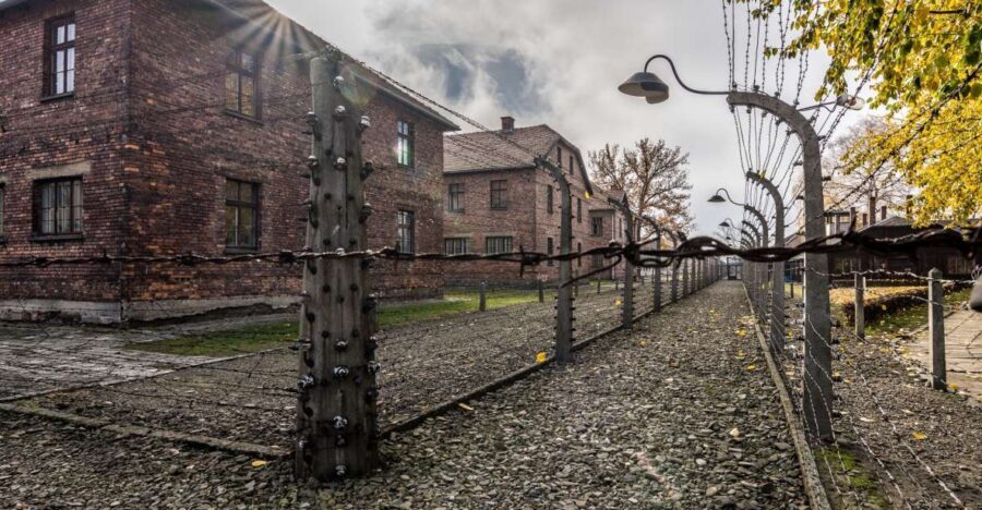 Kraków: Auschwitz-Birkenau & Salt Mine Full-Day Guided Tour - Auschwitz I: walking the preserved site with museum-led context