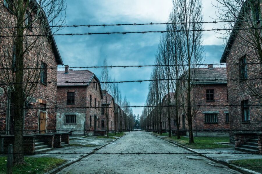 Kraków: Auschwitz-Birkenau & Salt Mine Full-Day Guided Tour - Wieliczka Salt Mine: 800 steps down, chapels carved from salt