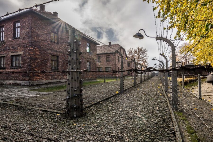 Kraków: Auschwitz-Birkenau & Salt Mine Full-Day Guided Tour - How the guides and headsets shape the whole experience