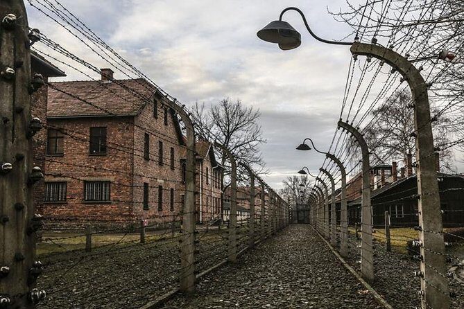 Krakow: Auschwitz-Birkenau & Salt Mine OneDay Tour (hotel pickup) - Hotel pickup, minivan ride, and why the schedule matters